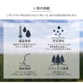 夏ラグ 夏用カーペット い草ラグ 花ござ カーペット ラグ 3畳 ギャッベ(ギャベ)柄 抗菌防臭 消臭 江戸間3畳 (約174×261cm）