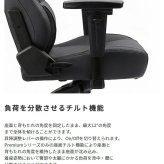 オフィスチェア AKRacing エーケーレーシング Premium Low Edition ゲーミング アームレスト ランバーサポート オフィス Premiumシリーズ椅子 イス いす AKレーシング ゲーム ゲーミングpc 昇降 張地は耐久性が高く 新生活