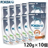 フォルツァ10 FORZA10 ドッグフード デイリープロ アダルトミディアム ホース 120g×10個
