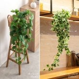 【75cm】光触媒人工観葉植物 ガーランド 幅23cm×奥行18cm×高さ75cm ポリエステル お部屋に気軽に飾れて空間を美しく彩るフェイクグリーン 本物の植物のようなリアルな質感とインテリアに馴染む風合いが魅力です