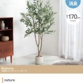 【高さ170cm】光触媒人工観葉植物 オリーブ 幅70cm×奥行60cm×高さ170cm オフィス 天然木 ポリエステル 組立品 お部屋に気軽に飾れて空間を美しく彩るフェイクグリーン 本物の植物のようなリアルな質感とインテリアに馴染む風合いが魅力です