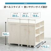 収納家具 ラック 押入れ収納 奥行75cm 選べる幅3サイズ (19/25/38cm) iw-29 クローゼット収納 リビング収納 すき間収納 サニタリー収納