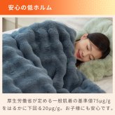  ふわとろ毛布 電気毛布 掛け敷き モコモコブランケット 極上ふわとろ 毛布ブランケット もこもこ ふわふわ シングル 即暖 保温 電気毛布 ひざ掛け シングル 電気ブランケット 洗える ふわもこ 2枚合わせ毛布 厚手 あったかい