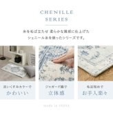 ラグ 薄手 ラグマット 小さい 小さめ おしゃれ くすみカラー シェニール糸 ジャガード織り オリエンタル柄 ネイティブ柄 折りたたみ 裏面滑り止め付き 前 リビング 敷物 インド 60×90cm ポリエステル 綿 インテリア ズレにくい 柔らか