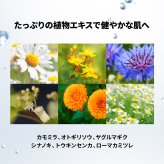 EVERSKIN ボディーソープ メンズ 体臭 ワキガ 加齢臭 背中ニキビ 皮脂 足臭 脇汗 【医薬部外品】ホワイトティーの香り 日本製 400ml