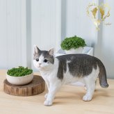 大きなサイズで【歩くサバトラ白猫(大）】CAT　本物そっくり  WooBia