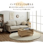 クッション 無地 円形 セアテ フェイクファー ラビットファー 洗える 約40cm丸