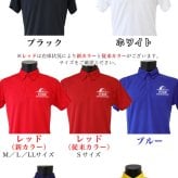 ゴルフウェア メンズ 名入れ ポロシャツ ギフト【名前入り ドライポロシャツ「モノクロボール」】退職祝い ゴルフグッズ オリジナル 半袖 メンズ レディース 男性 女性 兼用 おしゃれ S M L LL XL 黒 ブラック 吸汗 速乾 ゴルフ ダウンボタン 4.4オンス 父の日 母の日 父 母 プレゼント 還暦祝い 20代 30代 40代 50代 60代 70代 GHOGolf NEW25