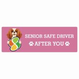 カーサイン 高齢者マーク SENIOR SAFE DRIVER キャバリアキングチャールズスパニエル ステッカー シール 長方形 15x5cm 肉球 日本製 車