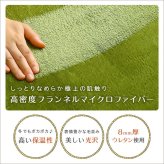 ラグ 高密度フランネルマイクロファイバー ラグマット SSサイズ 100 140cm 洗えるラグマット ナルトレアインテリア 収納 カーペット ラグ 丸洗い オシャレ 絨毯 オールシーズン ホットカーペット すべり 選択可能 ウォッシャブル 滑り止め