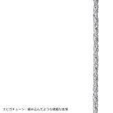 ライオンハート スレンダリー チェーンネックレス スピガ サージカルステンレス 47cm 55cm 65cm シルバー 金属アレルギー対応 だけ のみ メンズ ブランド