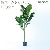 観葉植物 造花 カシワバゴム BROWN 全高約183cm 大型 フェイクグリーン 高級 本物そっくり リアル おしゃれ インテリア 人工観葉植物 アーティフィシャルグリーン モダン オフィス 店舗 ホテル 開店祝い 室内 リビング 玄関 風水 カシワバゴムノキ