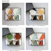 マグカップ・取皿セット / true colors line / ギフトボックス＆熨斗付き / 瀬戸焼【送料無料（北海道・沖縄を除く）】