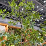 観葉植物 造花 イロハモミジ BROWN 全高約230cm 大型 フェイクグリーン 高級 本物そっくり リアル おしゃれ 和風 和モダン インテリア 人工観葉植物 アーティフィシャルグリーン オフィス 店舗 ホテル 旅館 開店祝い 室内 リビング 玄関 風水 もみじ 紅葉 カエデ