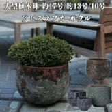 植木鉢 おしゃれ 高級 大型 17号 13号 10号 丸 丸型 KONTON コントン アビス ラブカ ボウル 陶器 釉薬 寒冷地 底穴あり 観葉植物 多肉植物 シンボルツリー 寄せ植え ボウル 特大 北欧 和モダン ナチュラル モダン 屋外 玄関 テラス ベランダ 庭