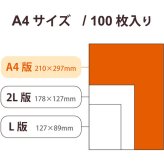 エレコム EJK-TVLA4100 写真用光沢紙 バリュー 薄手 A4 100枚 EJKTVLA4100