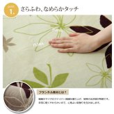 ラグ カーペット 3畳 洗える 抗菌 防臭 無地 『WSプランタ』 約200×250cm （ホット 対応）