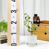 PLANCHU 観葉植物 フィカス ベンジャミン シタシオン 斑入り 3.5号鉢 受け皿付き 育て方説明書付き Ficus benjamina ‘Sitasion’ 幸運を呼ぶ木 ゴムノキ