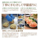 せいこ蟹 甲羅盛り 【数量限定】 越前がに 海鮮 詰め合わせ 福井県産 【冷凍便】美味しい贈物 お歳暮 ギフト
