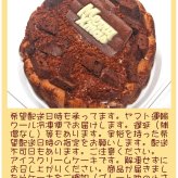 クリスマスチョコレートアイスケーキ【4～7号】 [クリスマスケーキ アイスクリームケーキ クリスマスチョコ チョコケーキ]