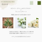 【Lagom Bloom 03】生花のアレンジメント インテリアのようなお花 新築のお祝いや開店のお祝いなど空間のインテリアのように飾ることができるお祝い花です 送料無料 生花 アレンジメント 誕生日 花 ギフト 送料無料 お礼 白 生花 お祝いアレンジメント 日頃の感謝 御祝 記念日 開店御祝い 自宅用 お供え フラワーギフト 展示会 楽屋花 受付 おしゃれ 母の日 敬老の日 お中元 お歳暮