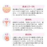【パッケージリニューアル 2026年4月】季令（KIREI） エラスチンカプセル 100粒 高純度エラスチン 100％天然由来 コラーゲン エラスチン ヒアルロン酸 エイジングケア スキンケア キレイ 無着色 合成保存料・香料不使用 ACTLAND