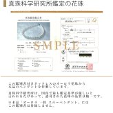 【数量限定】オーロラ花珠 パールネックレス パール 一粒 あこや真珠 8.5-9.0mm 大粒 テリ 花珠 真珠 スルーネックレス 一粒ネックレス 誕生石 送料無料 PT K18 K18PG 18金 プラチナ 小豆チェーン アコヤ 真珠 一粒パール ネックレス 真珠ペンダント ギフト プレゼント  成人式 真珠科学研究所 レディース 女性 彼女 妻 入学式 卒業式 就職祝い