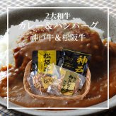 2大和牛カレー&ハンバーグ食べ比べ (5685-50) [お中元][お歳暮] ※送料無料(北海道・沖縄・離島への配送不可)