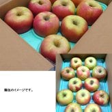 長野県産りんご ぐんま名月 秀品 ご贈答 果物 フルーツ お取り寄せ 産地直送 【送料無料(一部地域除く)】