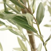観葉植物 造花 オリーブ BROWN 全高約180cm 大型 スリム フェイクグリーン 高級 本物そっくり リアル おしゃれ インテリア 人工観葉植物 アーティフィシャルグリーン オフィス 店舗 ホテル カフェ 開店祝い 室内 リビング 玄関 風水 庭木 オリーブの木