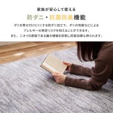 ラグ カーペット 国産高機能 ビビ 直径約180cm 防ダニ 抗菌 防臭 防音 防炎 制電 日本製 ナイロン 無地 円形