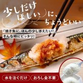 前田家 大根おろし 粉末 パウダー 熊本県産 2袋/5袋/10袋 (1袋10g 約2人分) 原材料は大根だけ 水を加えて5分 常温保存 乾燥 だいこんおろし 薬味 焼き魚 おろしそば 一人暮らし 送料無料 MAEDAYA