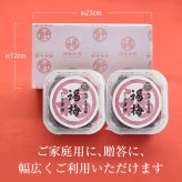 【特選紀州南高梅】【しそ漬梅250g×2パック（塩分約20％）】【無添加】しそと塩のみで漬けた昔ながらの梅干し つけもの 梅干し ギフト プレゼント 内祝