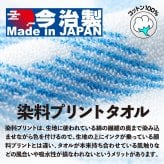 フェイスタオル ミズノ ミズノプロ ネーム刺繍入 今治製タオル 12jydx69 卒団祝 プレゼント 名入れ 卒団記念品 野球 ブラック ネイビー 黒 紺 箱入り
