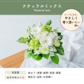 カラフルガーデン アレンジメントS  生花 花市場から直送 お祝い 誕生日 記念日