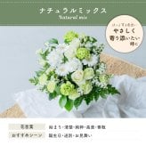 フラワーギフト カラフルガーデンフラワーアレンジメント Mサイズ 生花 花市場から直送 父の日  お祝い 誕生日 記念日