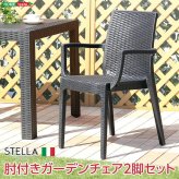 ガーデンチェア2脚セット ガーデン肘付チェア 2脚セット ステラ-STELLA- ガーデン カフェ 屋外椅子 アウトドアチェア テラスチェア ガーデンファニチャー 庭用椅子 ベランダチェア ガーデン椅子2脚 テラス家具 イス ブラック エクステリア 座面 新生活