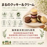 グルテンフリー・ヴィーガン 米粉クッキー＆RAWクリーム 6個セット ギフト