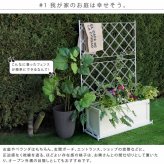 ガーデン エクステリア プランター台付フェンス ロータイプ アーガイル フェンス ゲート 扉 アイアン ガーデニング 枠 柵 仕切り 目隠し 境目 ベランダ つる 薔薇 バラ 朝顔 園芸 ラティス つるバラ 庭 誘引 屋外 新生活