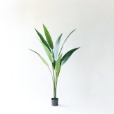 観葉植物 造花 カンナ BROWN 全高約165cm 大型 スリム フェイクグリーン 高級 本物そっくり リアル おしゃれ インテリア 人工観葉植物 アーティフィシャルグリーン 南国 オフィス 店舗 ホテル 開店祝い 室内 リビング 玄関 寝室 風水 フェイク
