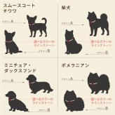 ［名入れ 込み］犬のシルエットグラス 360ml 犬種シルエット 送料無料 ラッピング無料