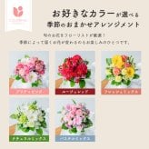カラフルガーデン アレンジメントS  生花 花市場から直送 お祝い 誕生日 記念日