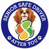 カーサイン 高齢者マーク SENIOR SAFE DRIVER キャバリアキングチャールズスパニエル マグネット 強力 直径13cm 肉球 日本製 車 ステッカー