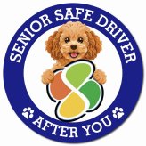 カーサイン 高齢者マーク SENIOR SAFE DRIVER キャバプー マグネット 強力 直径13cm 肉球 日本製 車 ステッカー