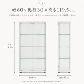 不二貿易 ガラスコレクションケース 幅60cm ハイタイプ 高さ119.5cm 4段 フィギュアケース 推し活収納 ガラス棚 ホワイト