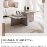 センターテーブル ローテーブル 幅87cm 石目調 大理石調 モルタル調 リビングテーブル コーヒーテーブル 収納棚付き 韓国インテリア 北欧 モダン おしゃれ 四角 スクエア 省スペース コンパクト ディスプレイテーブル テーブル 幅87cmタイプ 新生活