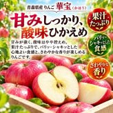 【新品種・希少】青森県産　りんご　家庭用　華宝（かほう）　大玉　10kg　24～40玉　送料無料！