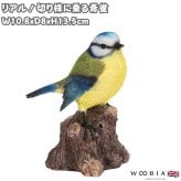 置物 鳥 青雀 高さ13.5cm woobia ウービア アオガラ 野鳥 リアル おしゃれ 玄関 インテリア オブジェ ガーデン 北欧 ナチュラル 小鳥 動物 アニマル 癒し 鳥好き 出窓 棚 プレゼント ギフト バードウォッチング