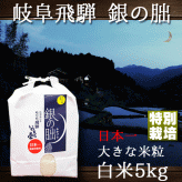 銀の朏 ぎんのみかづき 岐阜県飛騨産 いのちの壱 7年産 白米5kg【送料無料(一部地域を除く)】 特別栽培米