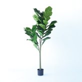 観葉植物 造花 カシワバゴム BROWN 全高約183cm 大型 フェイクグリーン 高級 本物そっくり リアル おしゃれ インテリア 人工観葉植物 アーティフィシャルグリーン モダン オフィス 店舗 ホテル 開店祝い 室内 リビング 玄関 風水 カシワバゴムノキ
